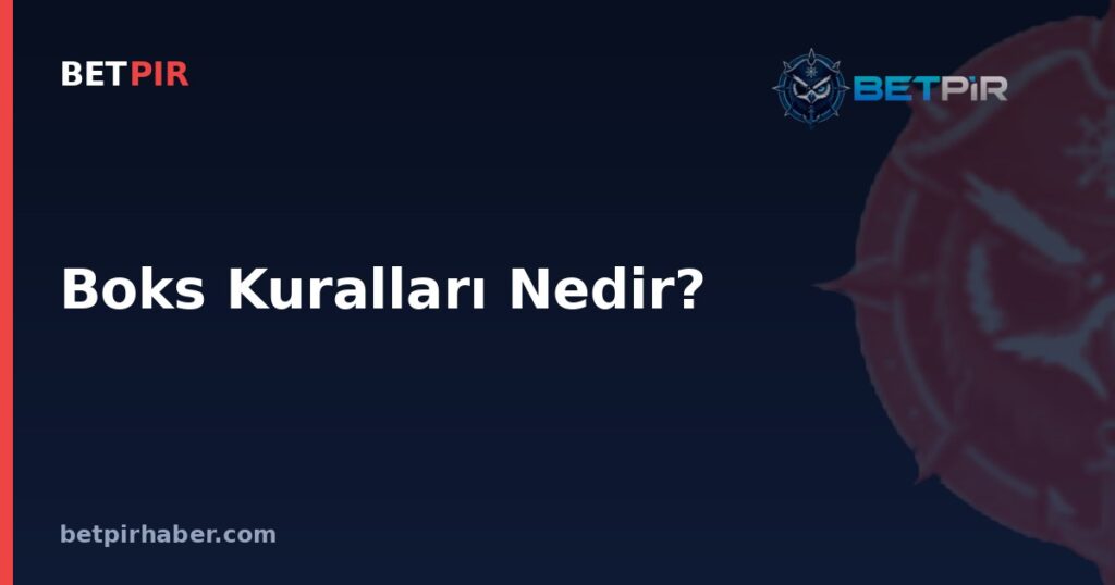 Boks Kuralları Nedir? Profesyonel Boks Organizasyonlarının Lig ve Sıklet Yapısı Nasıl İşler?